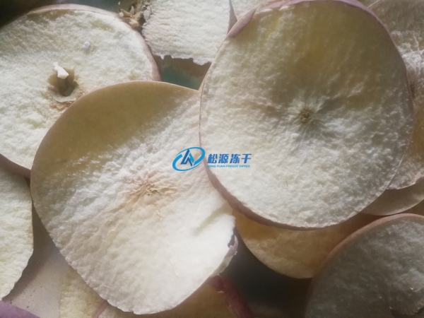 探秘大型果蔬食品凍干機如何讓草莓在宇宙中跳舞